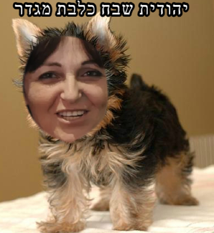 יהודית שבח כלבת מגדר פמיניסטית