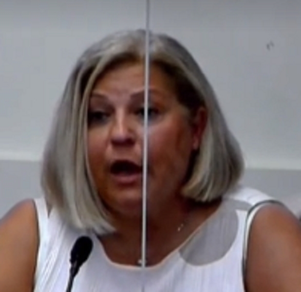 סימונה שטיינמץ כלבת שטן פמיניסטית ב 2021