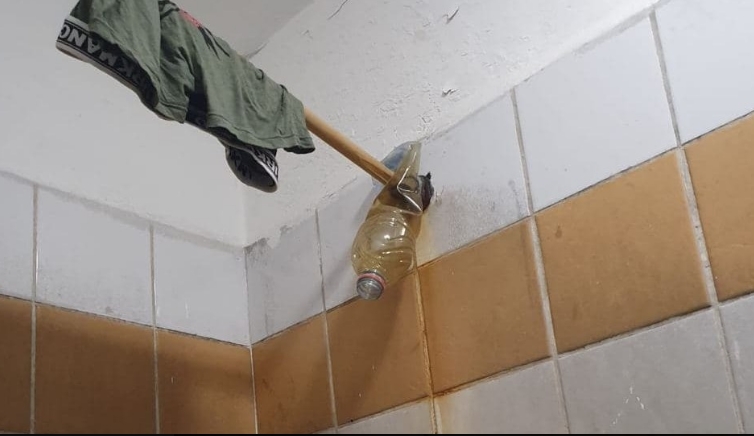 הגונדרית קטי פרי מציגה בגאווה ככה נראות המקלחות שאני מציעה לעצירים שלי - הן לא עובדות