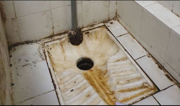 הגונדרית קטי פרי מציגה בגאווה אלו השירותים שאני נותנת לעצירים שלי לעשות קקי
