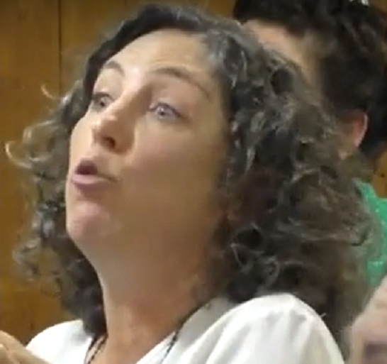 סמדר בר נתן פמינאצית רעילה פועלת לאיסור נשיאת נשק על ידי גברים יהודים