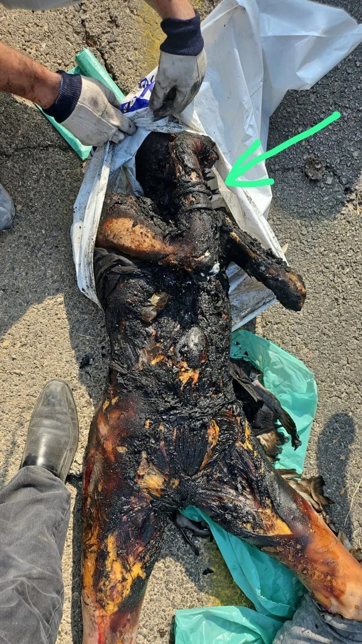 גופה שרופה של ישראלית שנאזקה ונאנסה עי אנשי עזה בחרבות ברזל